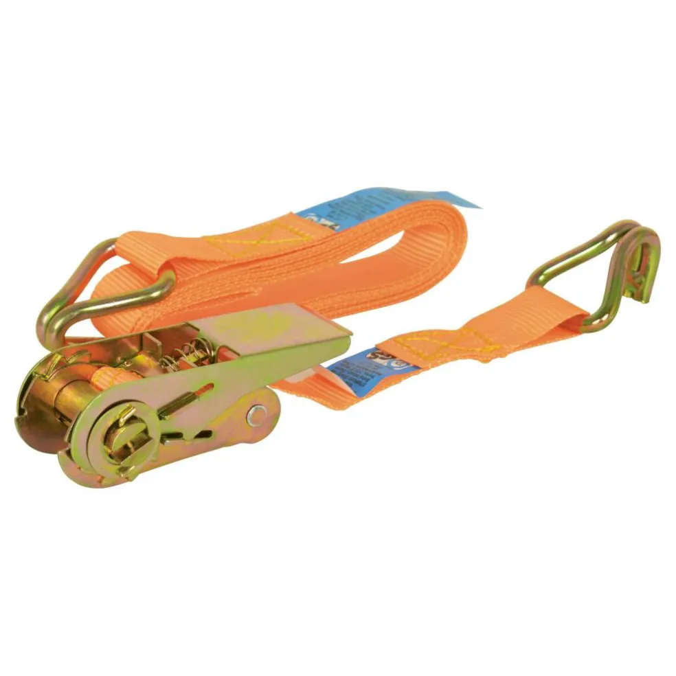 Carpoint Spanband met ratel en haken 5 meter