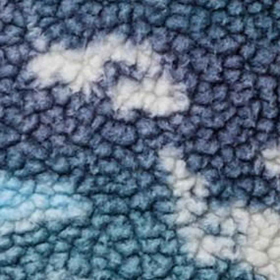 Columbia Helvetia II Printed Half Snap sweater heren crushed blue sisters