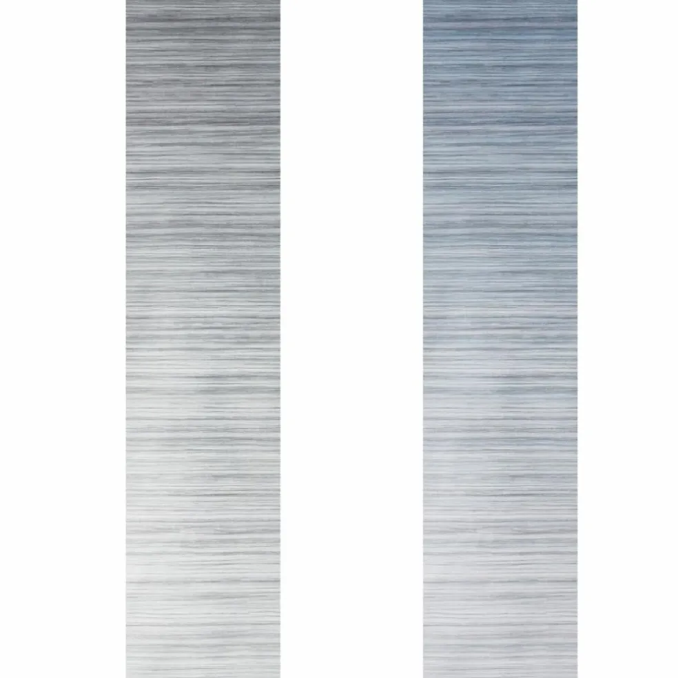 Fiamma F45 L 450 cassetteluifel titanium - Royal Grey
