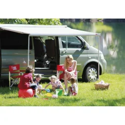 Fiamma F45 S 260 VW California T5 T6 cassetteluifel titanium - Royal Grey
