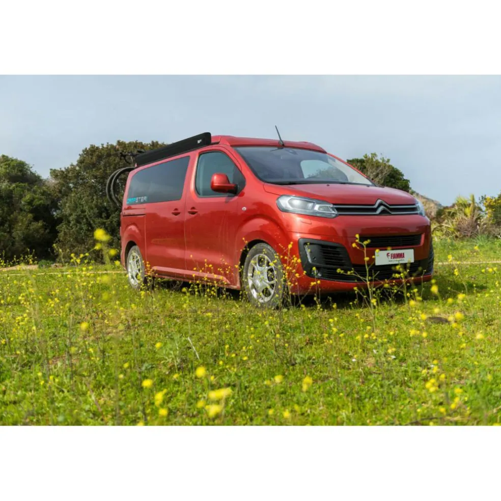 Fiamma F45 S 300 VW Multivan Transporter T5 T6 met C-rail cassetteluifel deep black - Royal grey