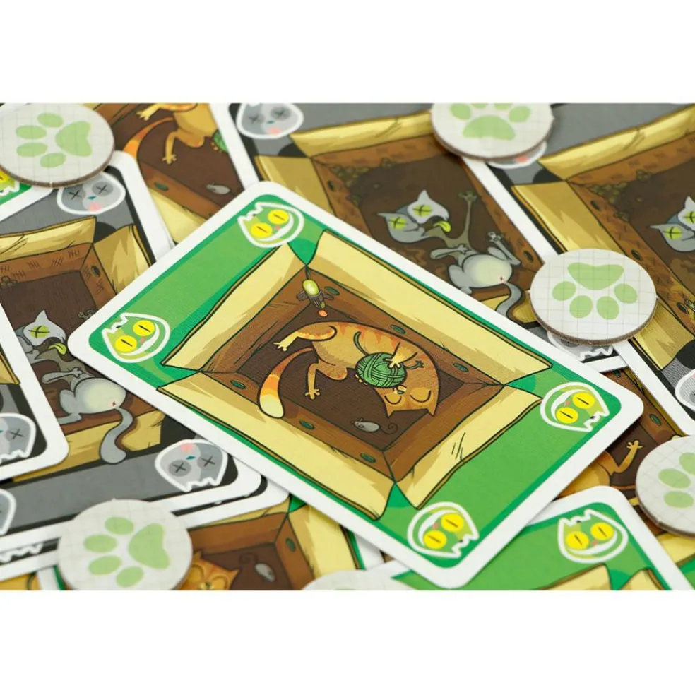 999 Games Schrödinger's Katten kaartspel