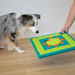 Nina Ottosson  Multipuzzle hondenspeelgoed
