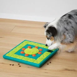 Nina Ottosson  Multipuzzle hondenspeelgoed