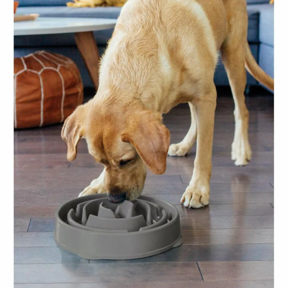 Outward Hound Fun Feeder Drop Large voerbak grey