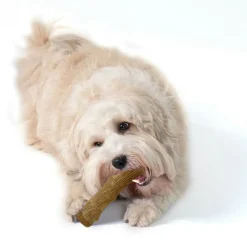 Petstages Dogwood Stick hondenspeelgoed S