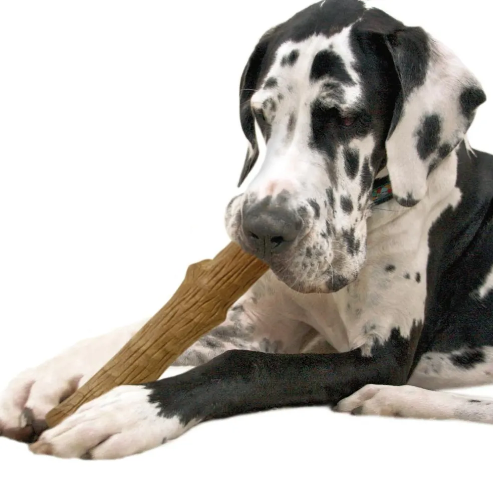Petstages Dogwood stick hondenspeelgoed L