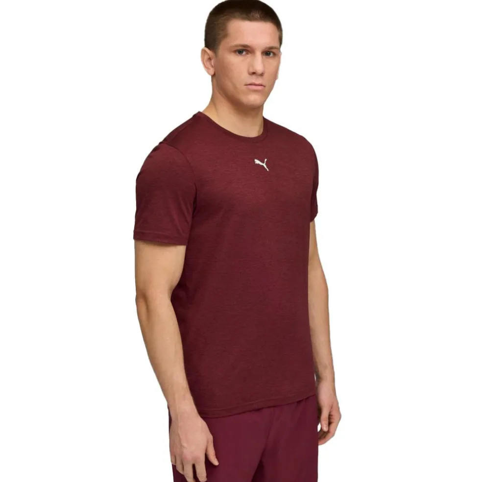 Puma TAD ESSENTIALS shirt heren ruby shimmer heather